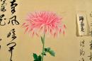 如心齋（千宗左・天然宗左）跋題　菊花漢詩圖譜（仮題）