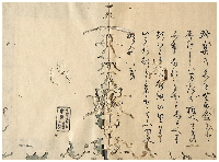藁盒子　加賀津幡俳人／矢田我柳舊藏本