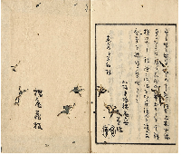 蒼虬發句集　加賀津幡俳人／矢田我柳舊藏本