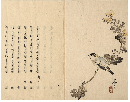 小喜久志ふ　加賀津幡俳人／矢田我柳舊藏本