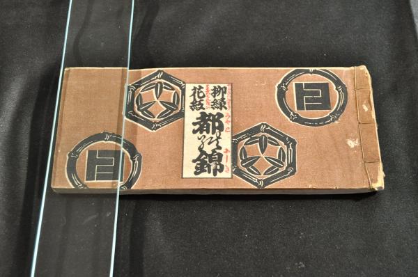 通俗 明治民権の花 板垣退助君言行略 ボール表紙(川島正三編 通俗 明治民権の花 板垣退助君言行略 ボール表紙(川島正三編