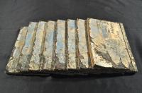 繪本黄金鱐　全八巻