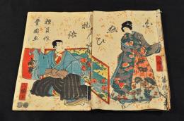 白縫譚　第八編上下巻