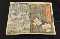 白縫譚　第八編上下巻