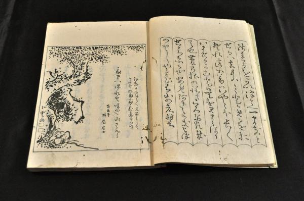 日東周易蘇掛爻象系譜(高松貝陵著) / 名雲書店 / 古本、中古本