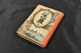 政治小説　佳人之血涙　ボール表紙