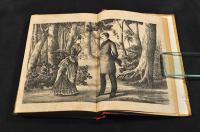 政治小説　佳人之血涙　ボール表紙