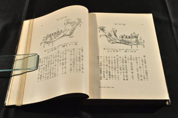 売れ筋介護用品も！ 海都滿大解剖圖 背革装釘 (今田束先生閲 ) / 名雲書店 / 古本 その他