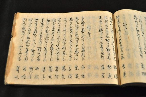 若者の大愛商品 中澤笳言自筆 俳諧十二律韻外(上毛那波郡中今村住人中澤笳言記 和書