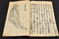 朝鮮人参耕作記　寫本