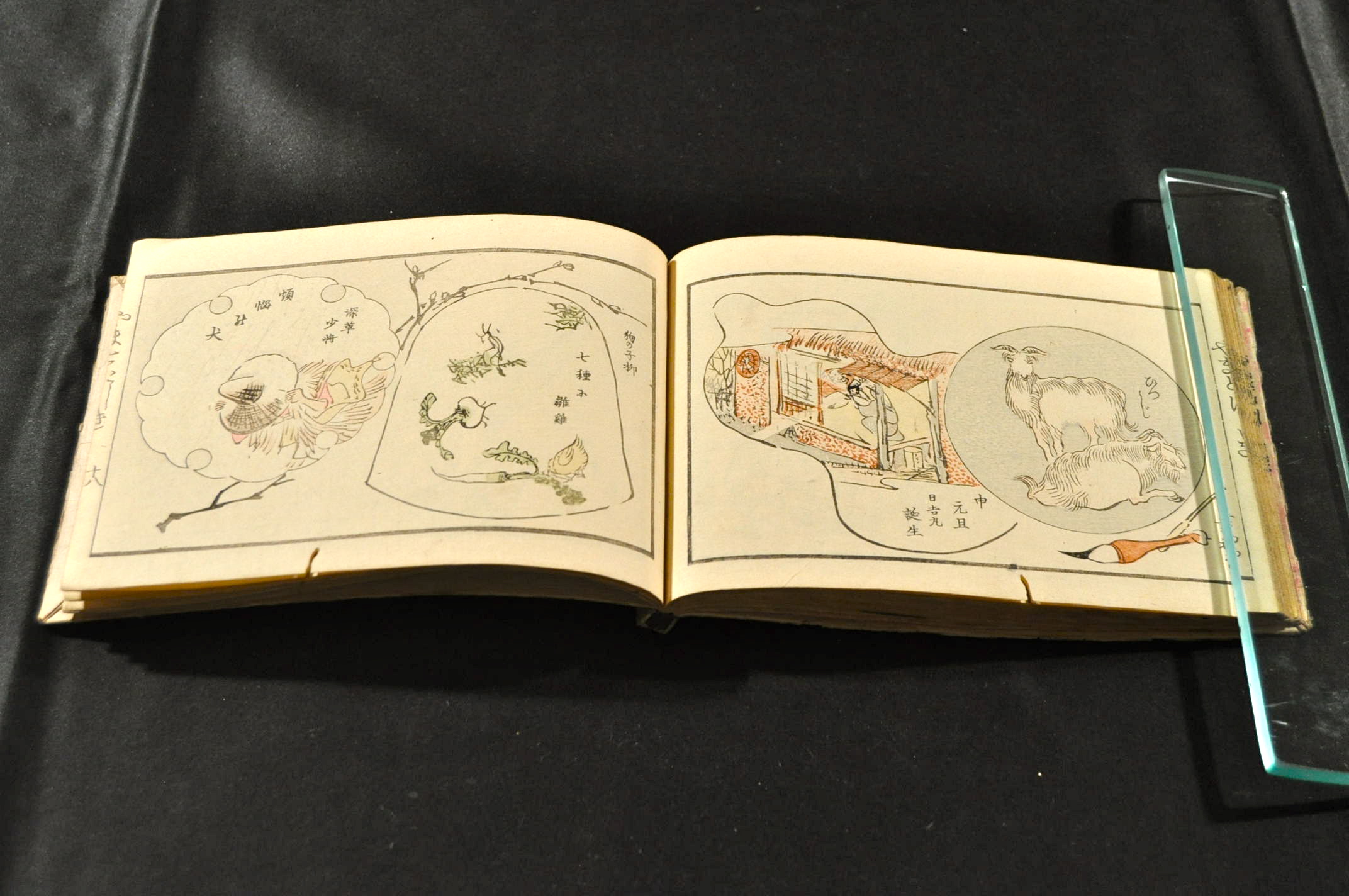 大和錦(鈴木萬年著画 京都田中文求堂藏梓) / 古本、中古本、古書籍の