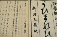 「うひまなひ」異版異装本六種の一括   柳河春三編