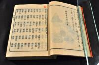 今人俳諧　明治六百題　乾坤巻　一名續日和鳶