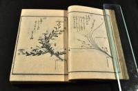 正風遠州流插花獨稽古
