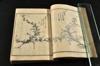 正風遠州流插花獨稽古