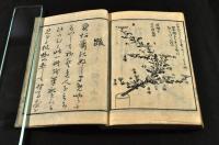 正風遠州流插花獨稽古