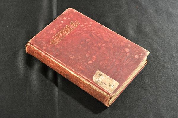 紹介議員傍聴人 公衆傍聴券(貴族院) / 名雲書店 / 古本、中古本 紹介議員傍聴人 公衆傍聴券(貴族院) / 名雲書店 / 古本、中古本