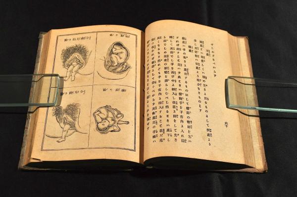 訂正増補 通俗男女造化機論 ボール表紙 / 名雲書店 / 古本、中古