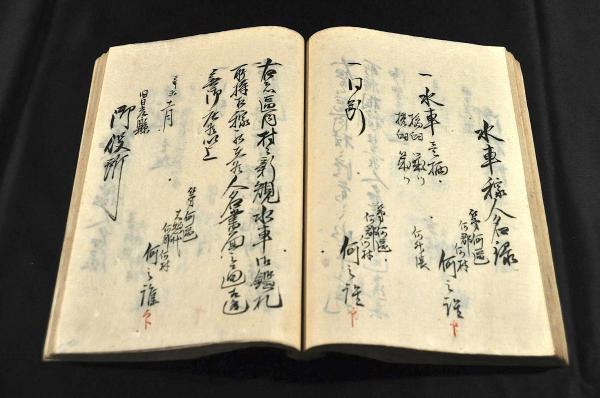 Amazon.co.jp: f21103001〇明治資料 栃木県会日誌一式 100丁