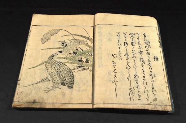 和漢名筆 畫本手鑑 第六巻補遺(大岡春卜編) / 古本、中古本、古書籍の