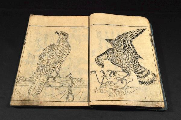 和漢名筆 畫本手鑑 第六巻補遺(大岡春卜編) / 古本、中古本、古書籍の