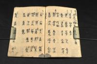 諸國俳諧名人集