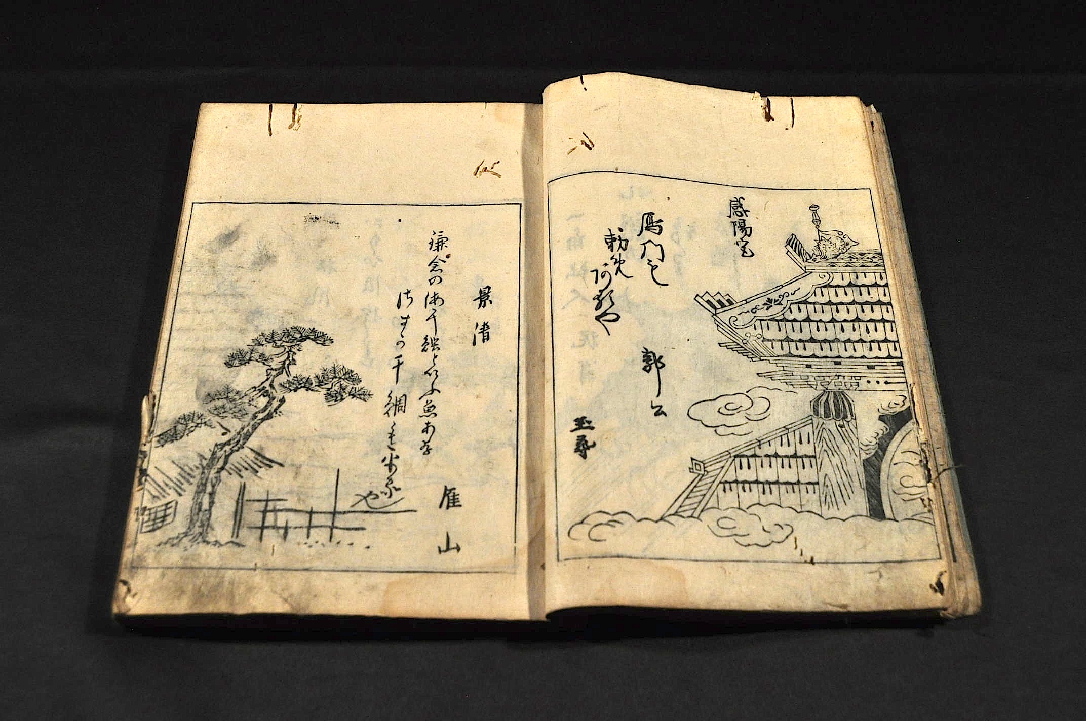 解剖学の授業 Lecon de Anatomie 重松成美