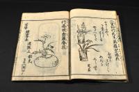 本朝瓶史　抛入岸の波　　上下巻　