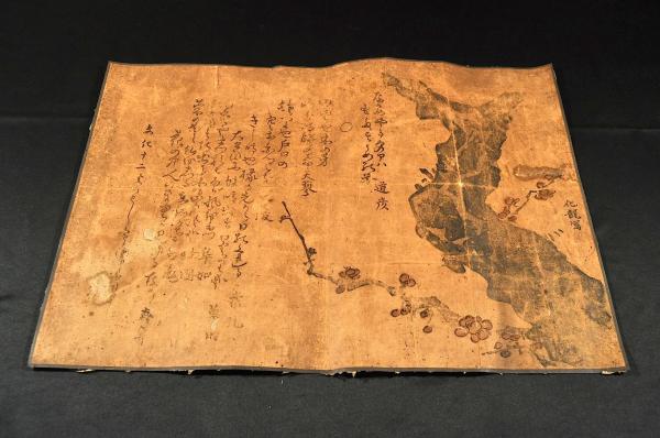 Amazon.co.jp: 雑俳集成〈第1期 12〉天保名古屋狂俳集 東洋書院