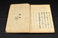 琴郊跋俳書（仮題）
