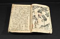 墨田川梅柳新書