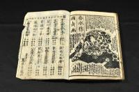 薄俤幻日記　初編上下巻