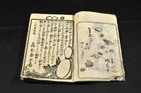 薄俤幻日記　第十六編上下巻