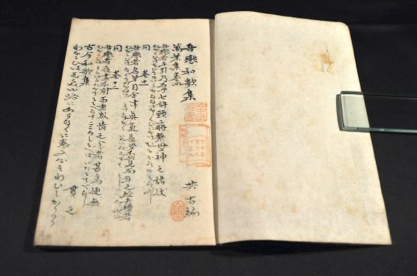Amazon.co.jp: 藤原姓小幡氏譜 小幡氏系圖 : おもちゃ