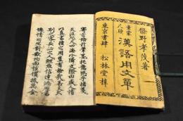 漢語用文章