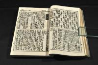 本朝　画家人名辭書　上下巻