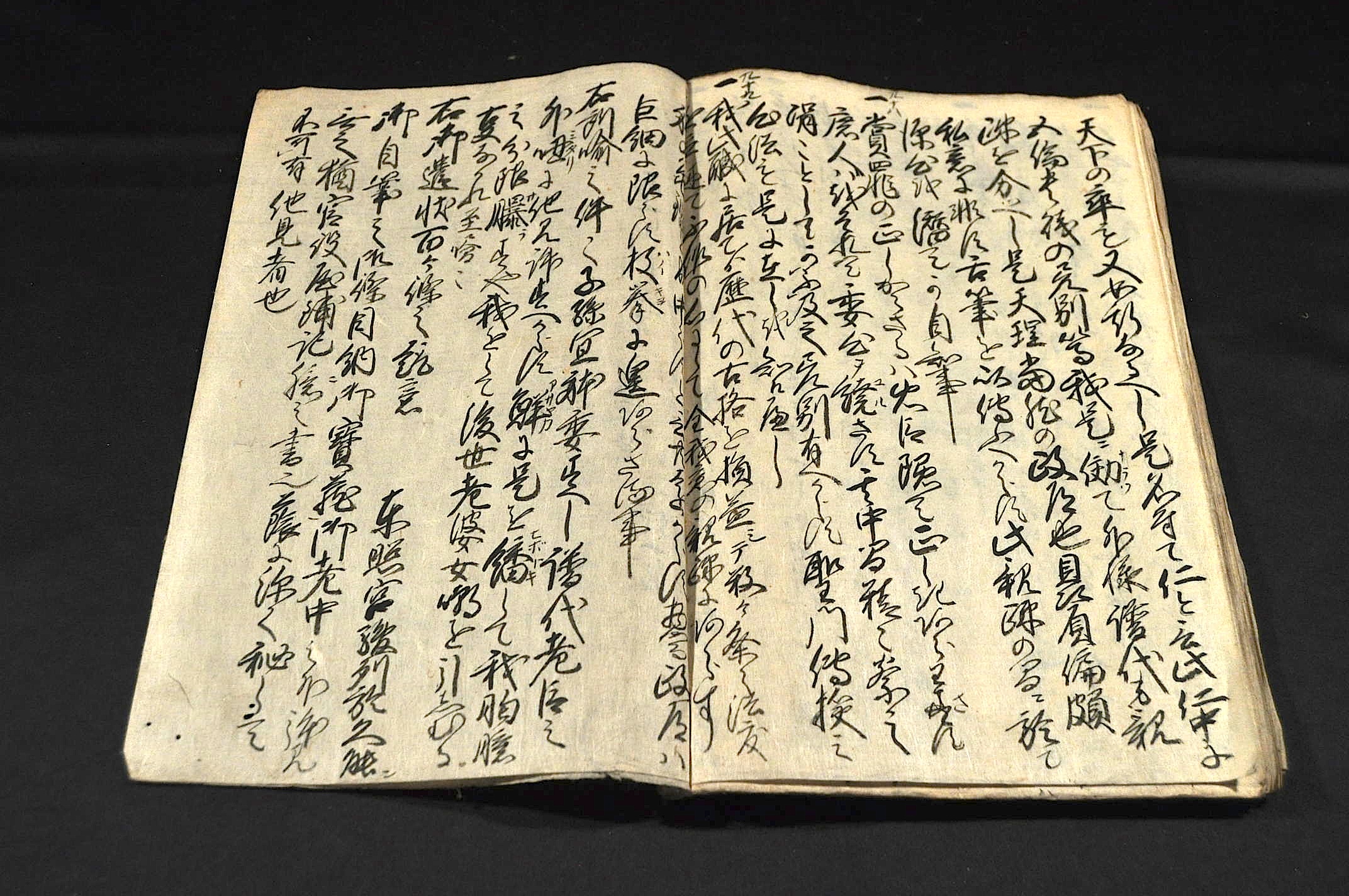 輝く高品質な 神君様 御遺命記録(西上野國多胡郡馬庭村／傳右衛門) 名雲書店 / 和書