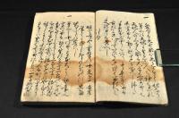 雁木之記　附素堂誹聯　五俳哥僊
