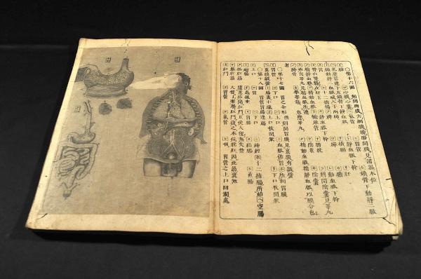 醫範提綱内象銅版圖 | 亞歐堂田善銅鐫 | ¥55,000 - 日本の古本屋
