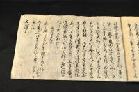 徳川家康公につき寫本　主／田鶴雄