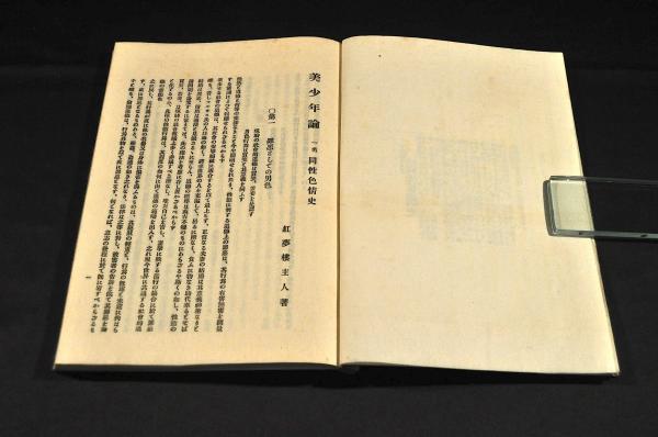 紅楼夢 フランス語版2冊組 図書館廃棄本 美本 - 洋書