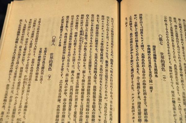 美少年論 一名／同性色情史(紅夢樓主人著) / 古本、中古本、古