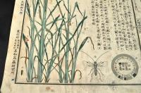 害虫圖解　第三・第八・第拾七・第拾八