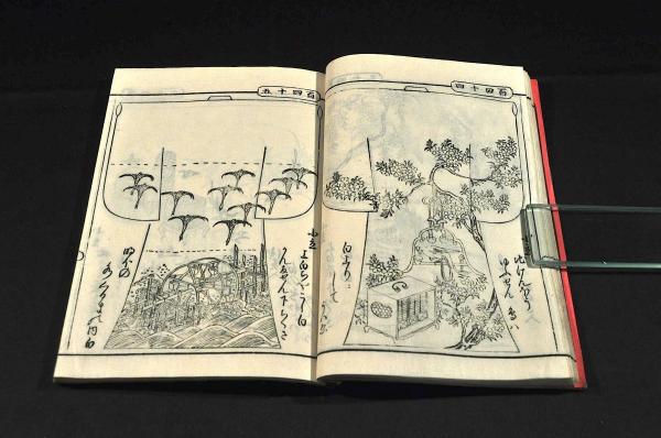 雛形菊の笛 小立もやう(板木師／洛陽壬生村住庄兵衛彫刻) / 古本、中古
