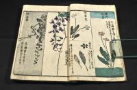繪本手引草