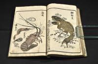 繪本手引草
