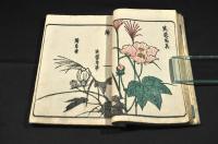 繪本手引草
