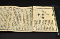 日東周易蘇掛爻象系譜