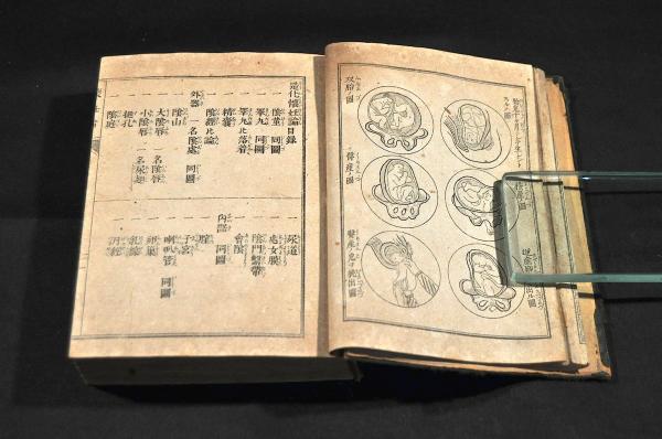 造化懐妊論 附男女の心得(鈴木壽太郎編) / 名雲書店 / 古本 造化懐妊論 附男女の心得(鈴木壽太郎編) / 名雲書店 / 古本