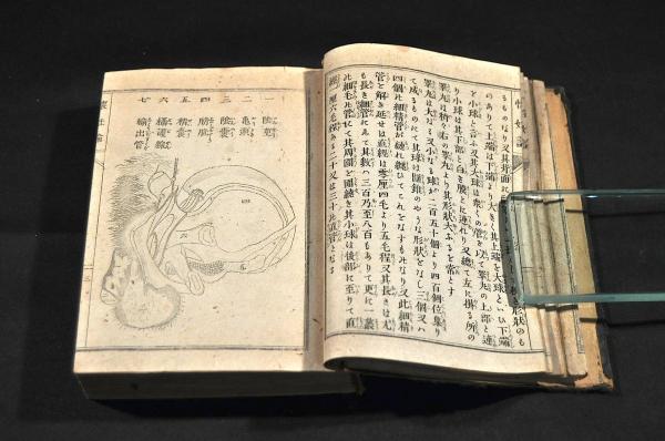 造化懐妊論 附男女の心得(鈴木壽太郎編) / 名雲書店 / 古本 造化懐妊論 附男女の心得(鈴木壽太郎編) / 名雲書店 / 古本